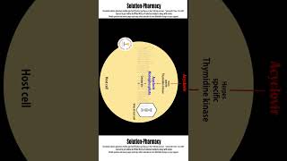 Acyclovir Mechanism of Action  Antiherpes Virus Drugs solutionpharmacy [upl. by Iahs396]