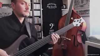 Alegria  Cirque Du Soleil  Bass Cover Intro with fretless [upl. by Basilio788]