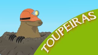 Planeta Animal  Toupeiras [upl. by Josie]