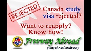 Options after Canada study visa refusal [upl. by Ferdinana365]