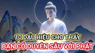 10 dấu hiệu cho thấy bạn có DUYÊN SÂU với Phật suyngam loiphatday phatphap phaphaymoingay [upl. by Tumer62]