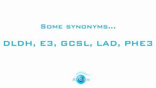 Dihydrolipoyl dehydrogenase mitochondrial recombinant protein [upl. by Haroun600]