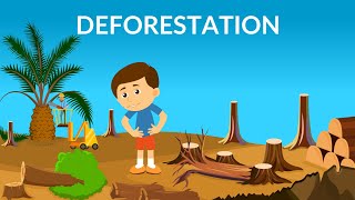 Deforestation  Causes Effects amp Solutions  Video for Kids [upl. by Creedon]