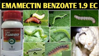 Emamectin Benzoate 19EC Emamectin Benzoate 19EC insecticide Tropical Tag Turbo plus insecticid [upl. by Delorenzo]