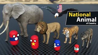 National Animal of all countries  animated animals [upl. by Eilssel]