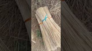 Bamboo Sticks Making Full Video [upl. by Ahtiek629]