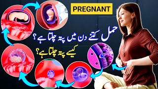 How To Know You Are Pregnant Pregnancy Ka Kb Pta Chlta Hai Pregnancy Ka Kaise Pata Chalta Hai [upl. by Toomin1]