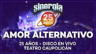 Sinergia  Amor Alternativo 25 Años En Vivo Teatro Caupolicán [upl. by Ailec192]