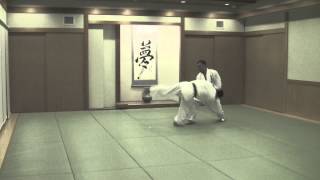 合気道 乱取基本の形④浮技 Tomiki Aikido Randori 17 Hon④Uki [upl. by Marlen]