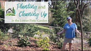 Planting And Cleaning Up in the Lower Patio Garden  🌸👩🏻‍🌾🌸 [upl. by Notnek]