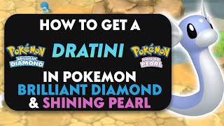 How To Get A Dratini In Pokemon Brilliant Diamond amp Shining Pearl [upl. by Leavy]