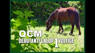 QCM Débutants Voltige [upl. by Charmane]