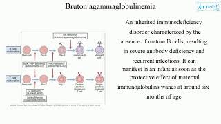 Bruton agammaglobulinemia [upl. by Matthaus]