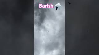 pigeon 😱 🤟BARISH MA KABUTAR BAZI 🤟 [upl. by Shela]