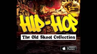 HipHop The Old Skool Mix  Old School Hip Hop [upl. by Kilar335]