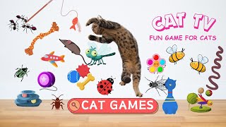 😺CAT GAMES l Bird String Mouse Cockroach Games For Cats  CAT TV cat cattv cat games [upl. by Efar]