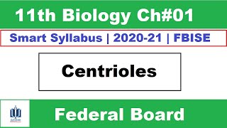 Centrioles Structure and Function Class 11 Biology Ilmi Stars Academy [upl. by Wyn]