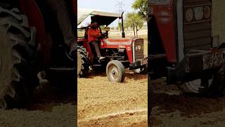 🚜🐄🌾फार्म हाउस Bikaner city  song mohali city punjabi song music [upl. by Nadabas]