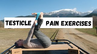 How to decrease testicular pain pain in balls 20 minute exercise class [upl. by Yknarf467]