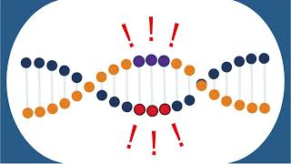 NIH Common Funds Somatic Mosaicism across Human Tissues SMaHT Network [upl. by Iarahs]