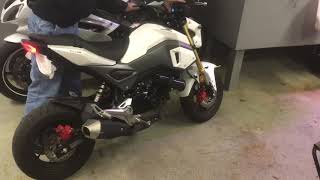 Funny Honda Grom AHOOGA horn replacement [upl. by Eittol]