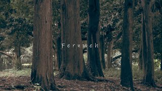 hakumei  Fernweh 【Music Video】 [upl. by Orose]