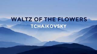 No Copyright Music Waltz of the Flowers by Tchaikovsky by Tchaikovsky [upl. by Michaela]