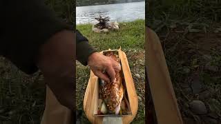 fish cooking shorts fish foodfireasmr [upl. by Jeramie740]