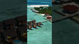 Dhigufaru island Resort Maldives dhigufaru visitmaldives [upl. by Nannek]