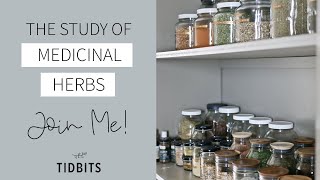 The Study of Medicinal Herbs  Lets Learn Together [upl. by Gnehp266]