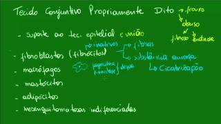 Tecido Conjuntivo Propriamente Dito  Aula 2 [upl. by Fiester]