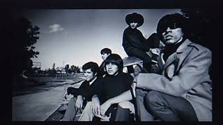 Question Mark amp the Mysterians quot96 Tearsquot 1966 [upl. by Danae]