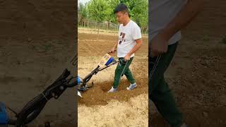 hillside hilly orchard greenhouse cornfield rotarytillage weeding ditching machine [upl. by Klina]