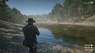 Red Dead Redemption 2 Ambience Fishing and Camping with Arthur Morgan [upl. by Kelson721]