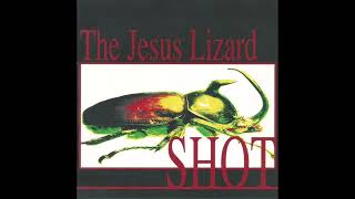 The Jesus Lizard  Trephination [upl. by Arrakat]