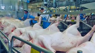 Chinese Eat 700 Million Pigs A Year Pork Processing Factory [upl. by Zeph]