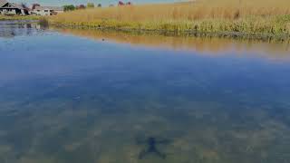 Fall colors  Still Waters  Welcome to Wisconsin [upl. by Horner682]