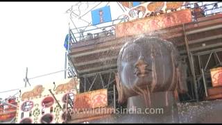 Pouring holy offerings over Lord Bahubalis forehead at Mahamastakabhisheka [upl. by Silvana]