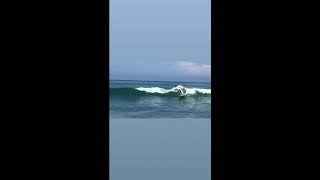 Marlon Gerber  YU Surfboards  YU サーフボード   High Perfomance Twin 54  ツインフィン   ライディング動画 [upl. by Ahsets]