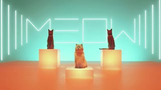 Meow ReMix Live Loop [upl. by Arayc]