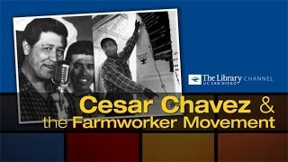 Cesar Chavez and the Farmworker Movement [upl. by Analad]