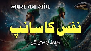 Nafs Ka Sanp  Auliya Allah Ki Khususi Batein  By Meraj Afzaly [upl. by Nahtaj]