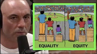 Equity vs Equality  Joe Rogan amp Tim Pool [upl. by Katrine]