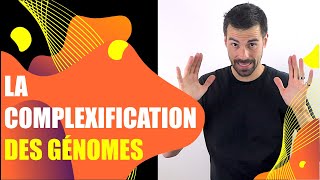 COURS DE TERMINALE SPÉCIALITÉ SVT  CHAP3 LA COMPLEXIFICATION DES GÉNOMES Bio Logique [upl. by Alby]