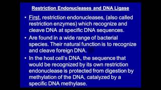 Molecular lab  Recombinant DNA [upl. by Htebasil558]