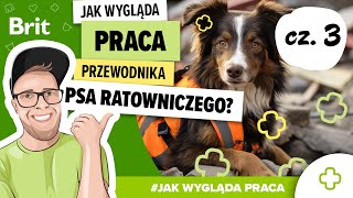 JAK WYGLĄDA PRACA Przewodnika psa ratowniczego Jak pracują psy gruzowiskowe cz3  Brit Polska [upl. by Adaner]