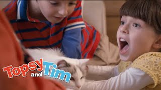 Topsy amp Tim 209  Theres a cat sleeping on Topsys bed  Full Episodes  Shows for Kids  HD  NEW [upl. by Anitrak548]