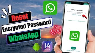 How To Reset Encrypted Password On WhatsApp  Recover WhatsApp Encrypted Password 2024 [upl. by Andi]