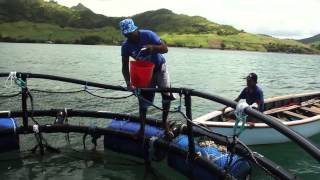 Cage construction GMP and value addition in the small scale mariculture sector [upl. by Norven]