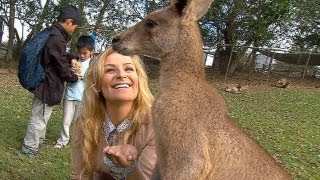 Natalya goes Down Under  Outside the Ring  Episode 39 [upl. by Eiraminot]